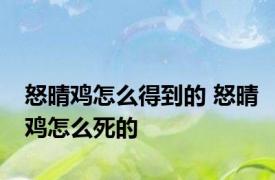 怒晴鸡怎么得到的 怒晴鸡怎么死的