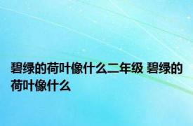 碧绿的荷叶像什么二年级 碧绿的荷叶像什么