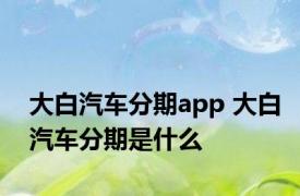 大白汽车分期app 大白汽车分期是什么