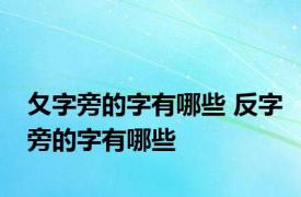 夂字旁的字有哪些 反字旁的字有哪些