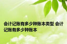 会计记账有多少种账本类型 会计记账有多少种账本