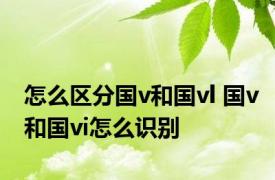 怎么区分国v和国vl 国v和国vi怎么识别