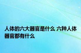 人体的六大器官是什么 六种人体器官都有什么