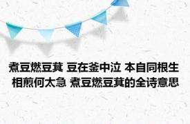 煮豆燃豆萁 豆在釜中泣 本自同根生 相煎何太急 煮豆燃豆萁的全诗意思