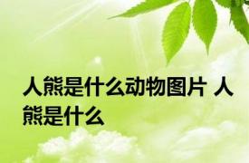 人熊是什么动物图片 人熊是什么