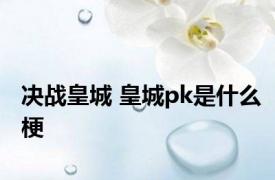 决战皇城 皇城pk是什么梗