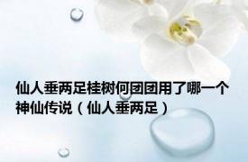 仙人垂两足桂树何团团用了哪一个神仙传说（仙人垂两足）