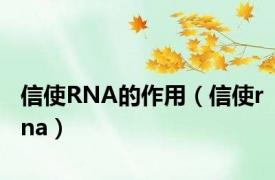 信使RNA的作用（信使rna）