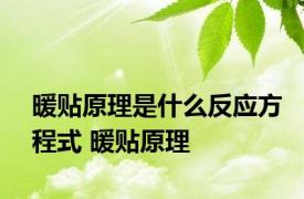 暖贴原理是什么反应方程式 暖贴原理