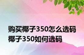 购买椰子350怎么选码 椰子350如何选码