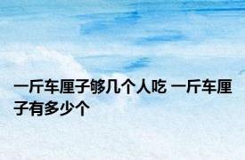 一斤车厘子够几个人吃 一斤车厘子有多少个