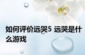 如何评价远哭5 远哭是什么游戏