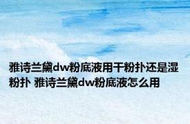 雅诗兰黛dw粉底液用干粉扑还是湿粉扑 雅诗兰黛dw粉底液怎么用