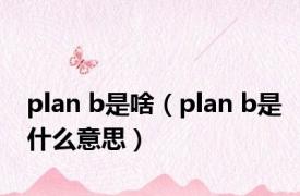 plan b是啥（plan b是什么意思）