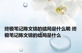 终极笔记陈文锦的结局是什么呢 终极笔记陈文锦的结局是什么