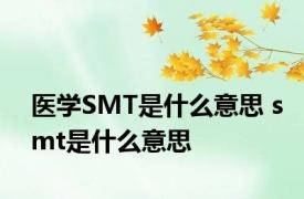 医学SMT是什么意思 smt是什么意思