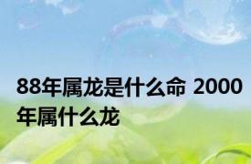 88年属龙是什么命 2000年属什么龙