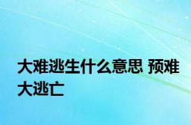 大难逃生什么意思 预难大逃亡 