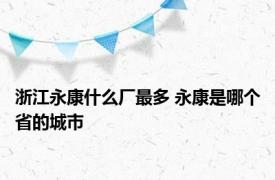 浙江永康什么厂最多 永康是哪个省的城市