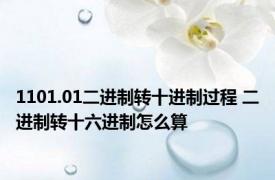 1101.01二进制转十进制过程 二进制转十六进制怎么算