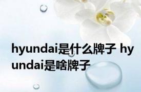 hyundai是什么牌子 hyundai是啥牌子