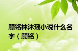 顾铭林沐瑶小说什么名字（顾铭）