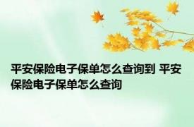 平安保险电子保单怎么查询到 平安保险电子保单怎么查询