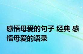 感悟母爱的句子 经典 感悟母爱的语录