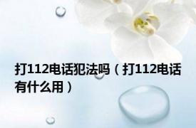 打112电话犯法吗（打112电话有什么用）