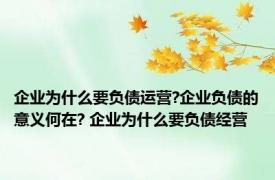 企业为什么要负债运营?企业负债的意义何在? 企业为什么要负债经营