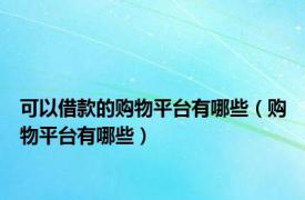 可以借款的购物平台有哪些（购物平台有哪些）