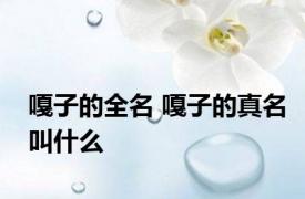 嘎子的全名 嘎子的真名叫什么