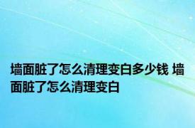 墙面脏了怎么清理变白多少钱 墙面脏了怎么清理变白