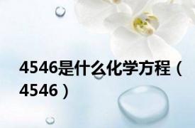 4546是什么化学方程（4546）