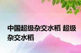 中国超级杂交水稻 超级杂交水稻 