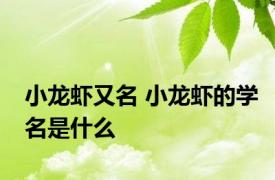 小龙虾又名 小龙虾的学名是什么