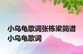 小乌龟歌词张栋梁简谱 小乌龟歌词 