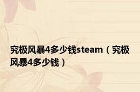 究极风暴4多少钱steam（究极风暴4多少钱）