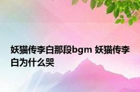 妖猫传李白那段bgm 妖猫传李白为什么哭