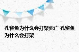 孔雀鱼为什么会打架死亡 孔雀鱼为什么会打架