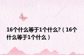 16个什么等于1个什么?（16个什么等于1个什么）