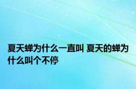 夏天蝉为什么一直叫 夏天的蝉为什么叫个不停