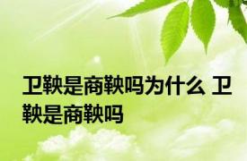 卫鞅是商鞅吗为什么 卫鞅是商鞅吗