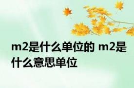 m2是什么单位的 m2是什么意思单位