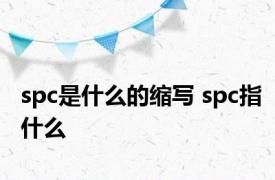 spc是什么的缩写 spc指什么