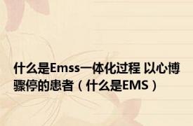 什么是Emss一体化过程 以心博骤停的患者（什么是EMS）