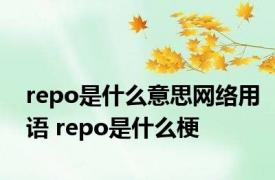 repo是什么意思网络用语 repo是什么梗