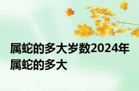 属蛇的多大岁数2024年 属蛇的多大