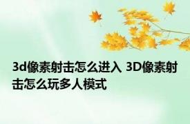 3d像素射击怎么进入 3D像素射击怎么玩多人模式