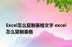 Excel怎么复制表格文字 excel怎么复制表格